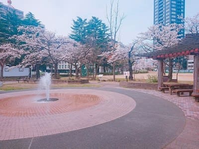 観光マップに載ってない 福島駅から徒歩15分圏内のお花見スポット3選 歩いてローカル