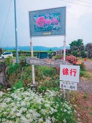 入園無料 福島市の 佐藤梨園のローズガーデン が超インスタ映えスポットだった件 歩いてローカル