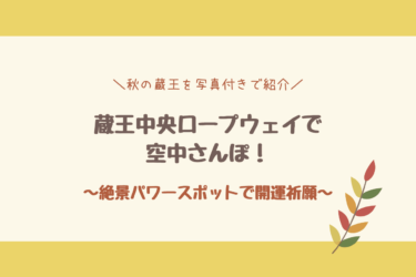 【写真付き】蔵王中央ロープウェイで空中さんぽ！現地の様子や運行情報も紹介